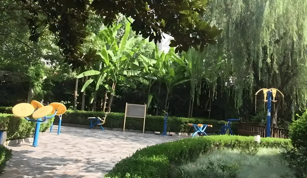 深圳各区人才引进政策_董璇失去的口碑，竟然被自己9岁的女儿挽回了 们的心声他全神贯注地长者